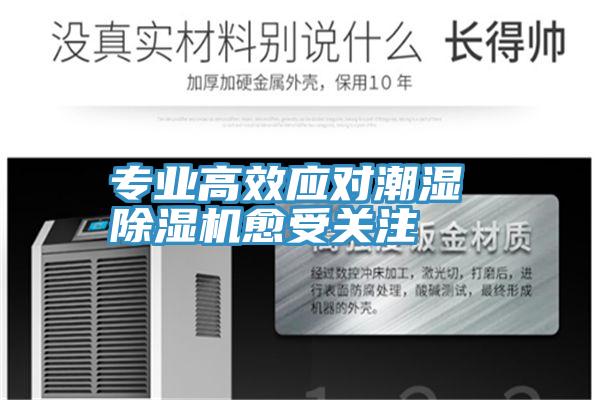 專業高效應對潮濕 除濕機愈受關注