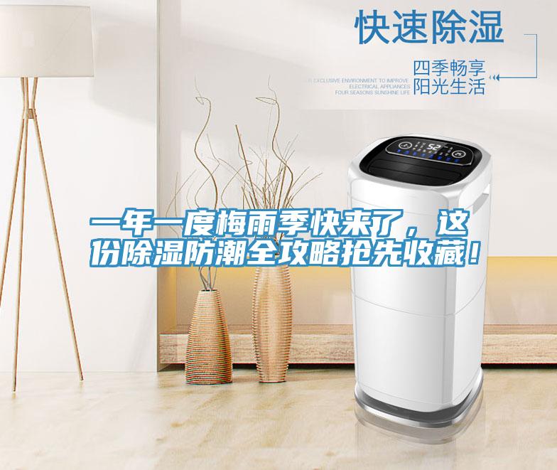 一年一度梅雨季快來了,這份除濕防潮全攻略搶先收藏!