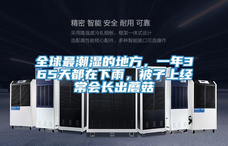全球最潮濕的地方,一年365天都在下雨,被子上經常會長出蘑菇