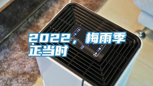 2022，梅雨季正當時