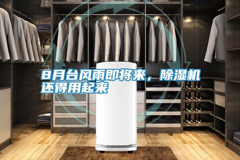 8月臺風雨即將來，除濕機還得用起來