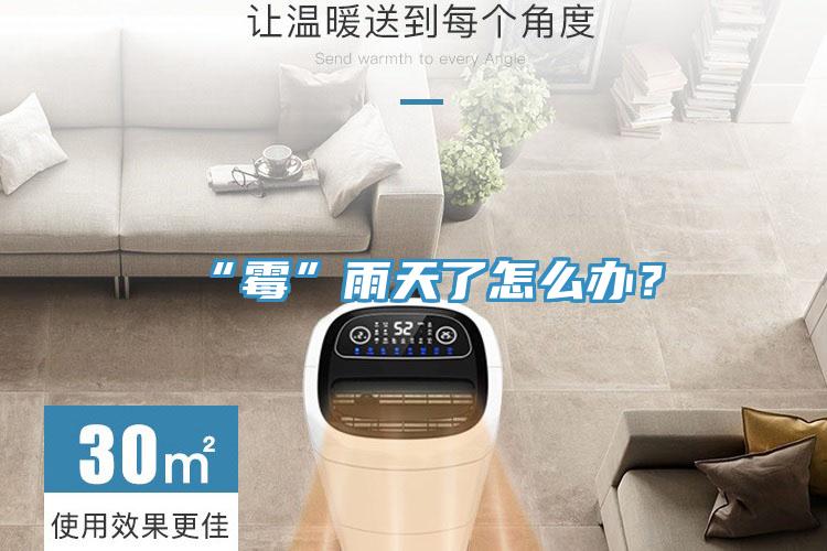 “霉”雨天了怎么辦?