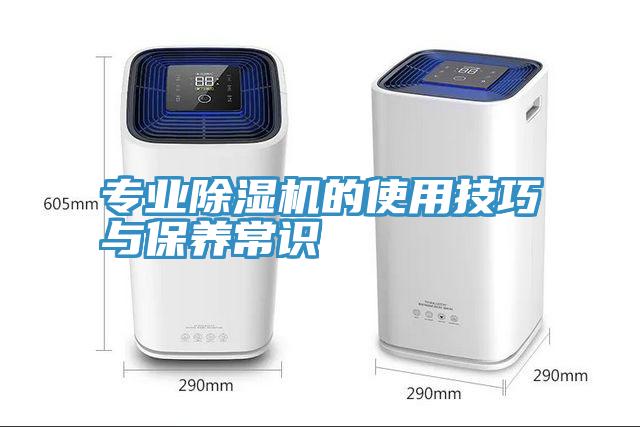 專業除濕機的使用技巧與保養常識