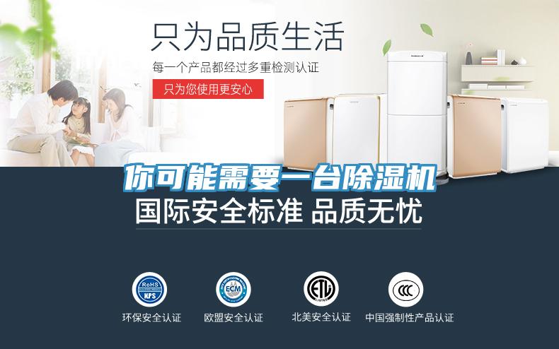 你可能需要一臺(tái)除濕機(jī)