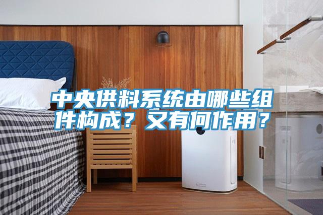 中央供料系統由哪些組件構成?又有何作用?