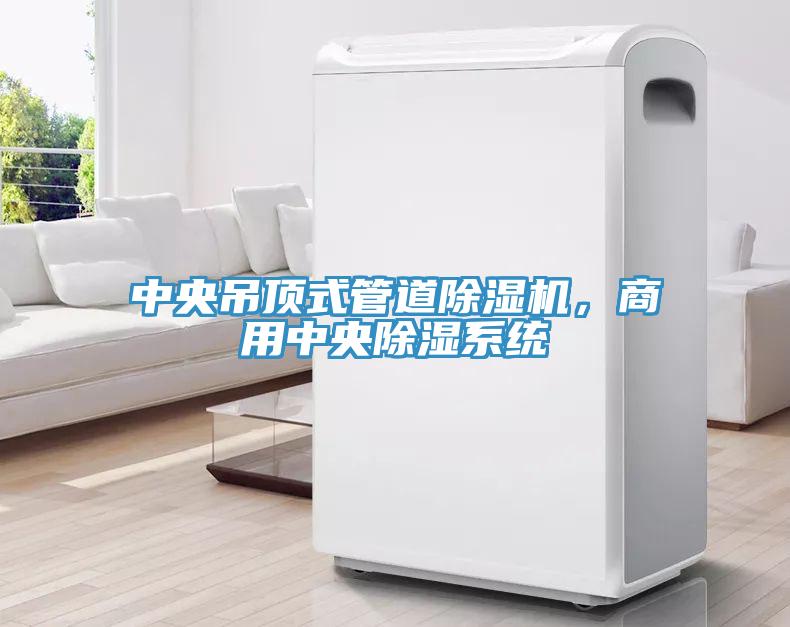 中央吊頂式管道除濕機(jī),商用中央除濕系統(tǒng)