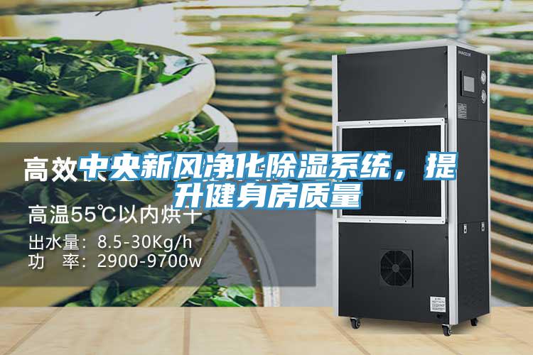 中央新風凈化除濕系統，提升健身房質量