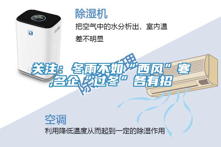 關注:冬雨不如“西風”寒,名企“過冬”各有招