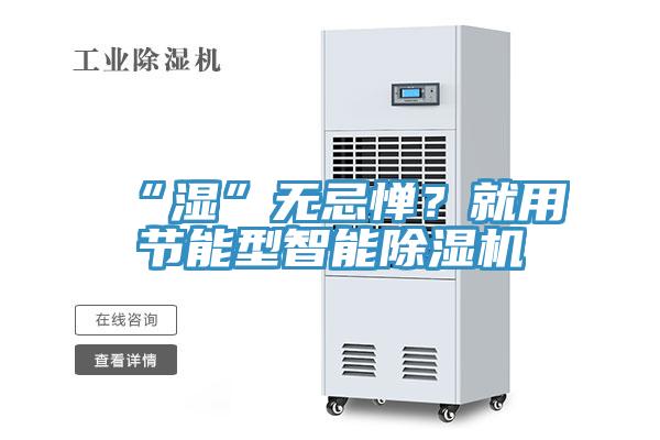 “濕”無忌憚？就用節能型智能除濕機