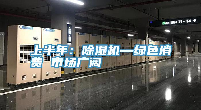 上半年:除濕機—綠色消費 市場廣闊