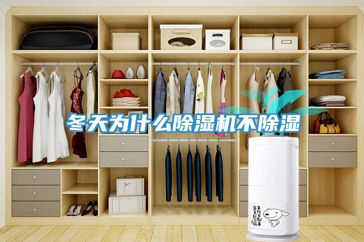 冬天為什么除濕機不除濕
