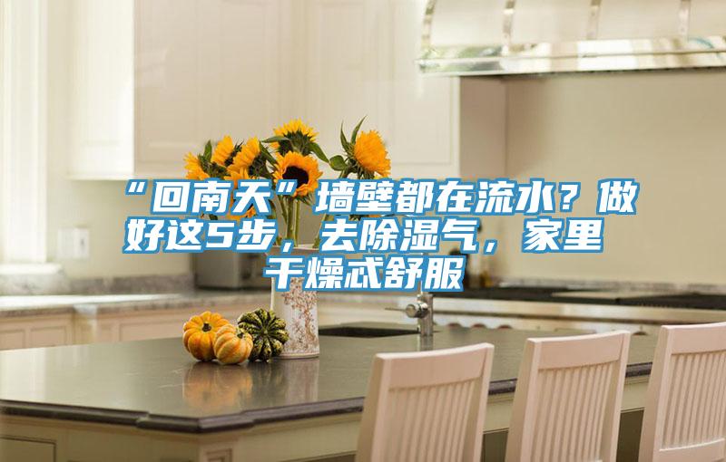 “回南天”墻壁都在流水？做好這5步，去除濕氣，家里干燥忒舒服
