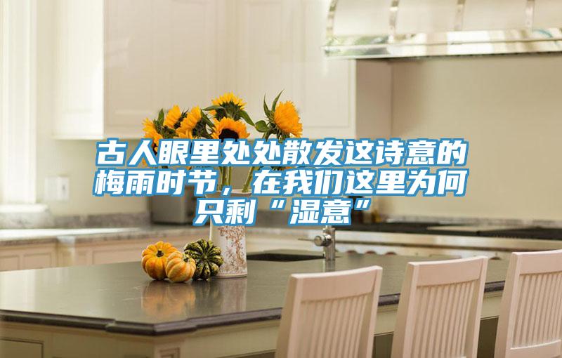 古人眼里處處散發這詩意的梅雨時節，在我們這里為何只剩“濕意”