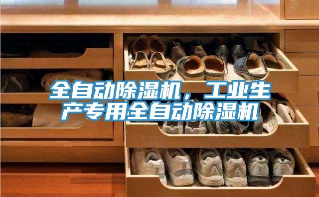 全自動(dòng)除濕機(jī)，工業(yè)生產(chǎn)專用全自動(dòng)除濕機(jī)