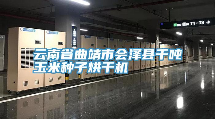 云南省曲靖市會(huì)澤縣千噸玉米種子烘干機(jī)