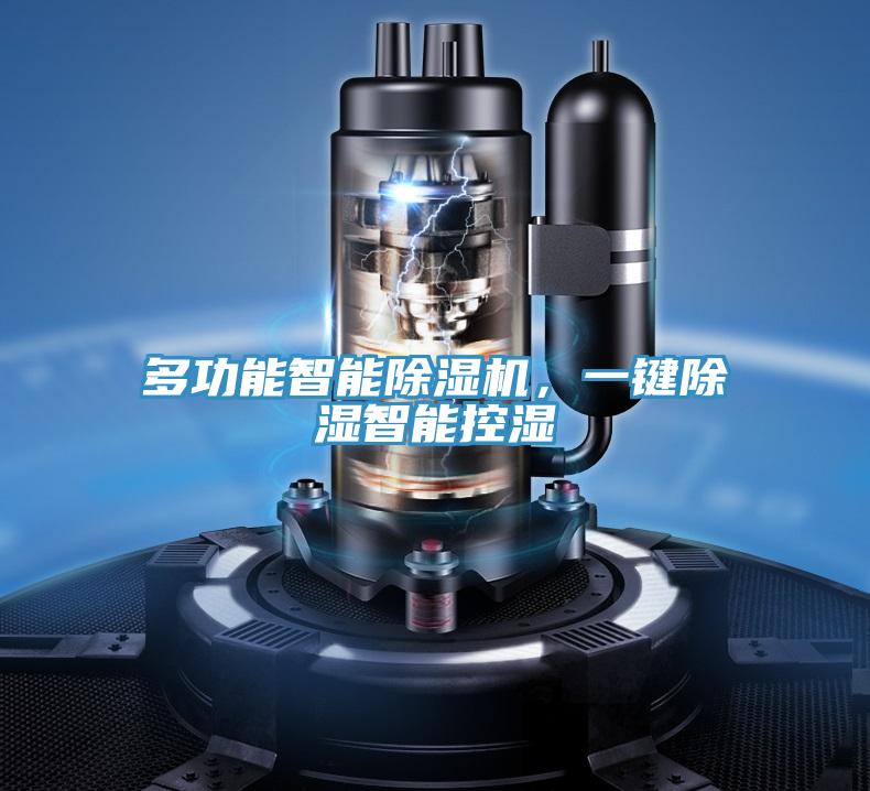 多功能智能除濕機，一鍵除濕智能控濕