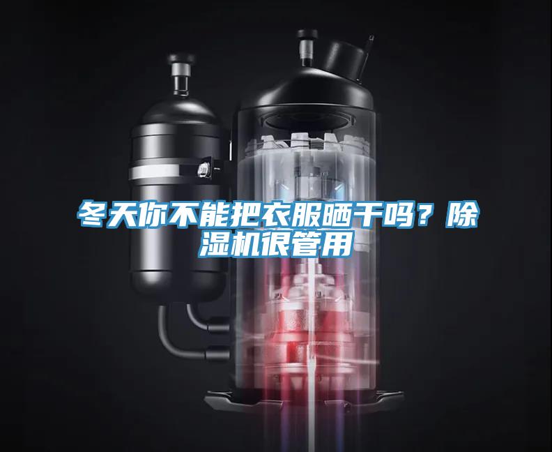 冬天你不能把衣服曬干嗎?除濕機很管用