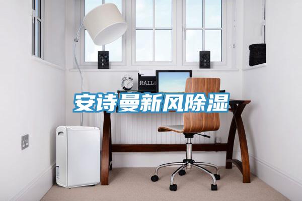 安詩曼新風(fēng)除濕