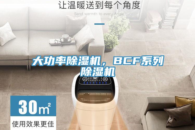 大功率除濕機，BCF系列除濕機