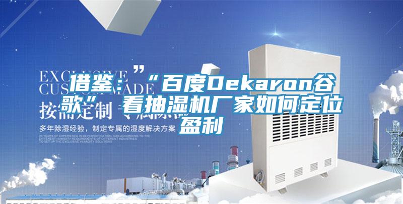 借鑒:“百度Dekaron谷歌” 看抽濕機廠家如何定位盈利