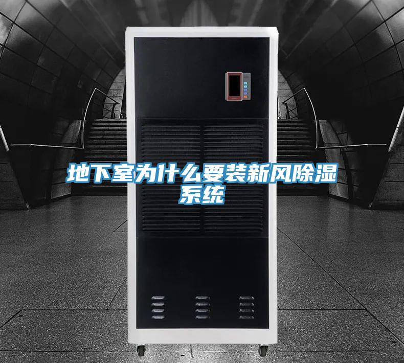 地下室為什么要裝新風除濕系統(tǒng)