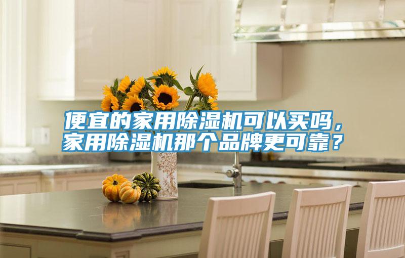 便宜的家用除濕機可以買嗎，家用除濕機那個品牌更可靠？