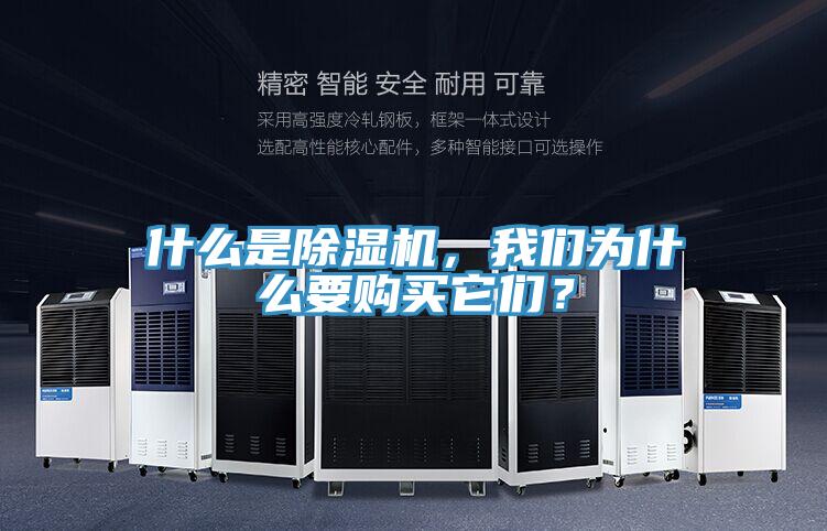 什么是除濕機，我們為什么要購買它們？