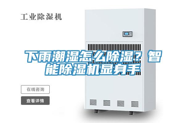 下雨潮濕怎么除濕?智能除濕機顯身手