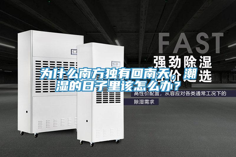 為什么南方獨有回南天,潮濕的日子里該怎么辦?