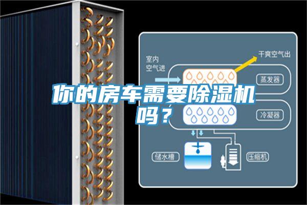 你的房車需要除濕機嗎？