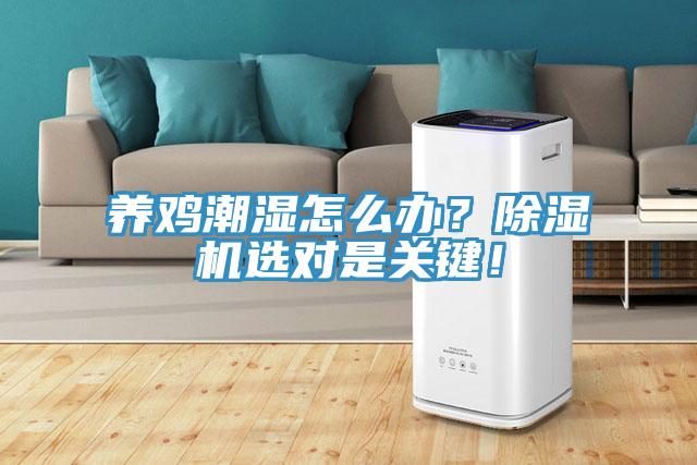 養(yǎng)雞潮濕怎么辦？除濕機選對是關(guān)鍵！