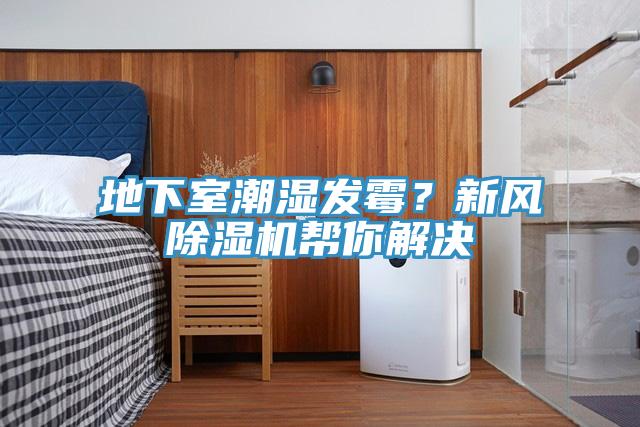 地下室潮濕發霉？新風除濕機幫你解決