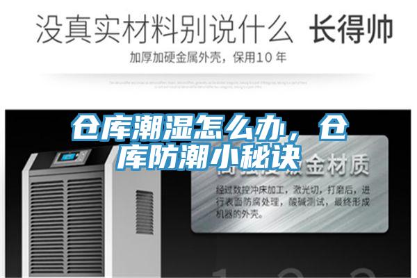 倉庫潮濕怎么辦,倉庫防潮小秘訣