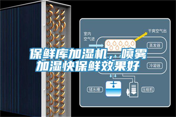 保鮮庫加濕機,噴霧加濕快保鮮效果好