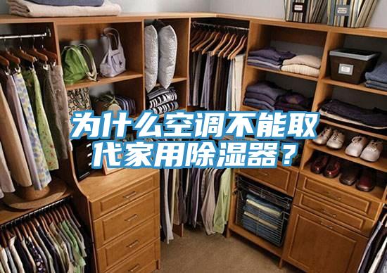 為什么空調不能取代家用除濕器？
