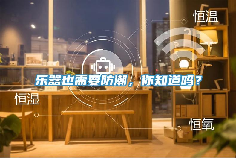 樂器也需要防潮,你知道嗎?