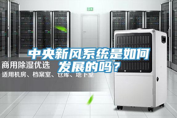 中央新風系統是如何發展的嗎?