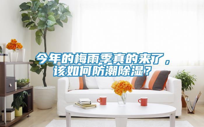 今年的梅雨季真的來了,該如何防潮除濕?