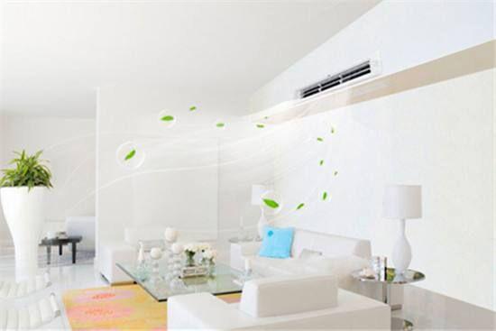 回南天來了！家里趕緊擺上這個，潮濕、發(fā)霉全解決了