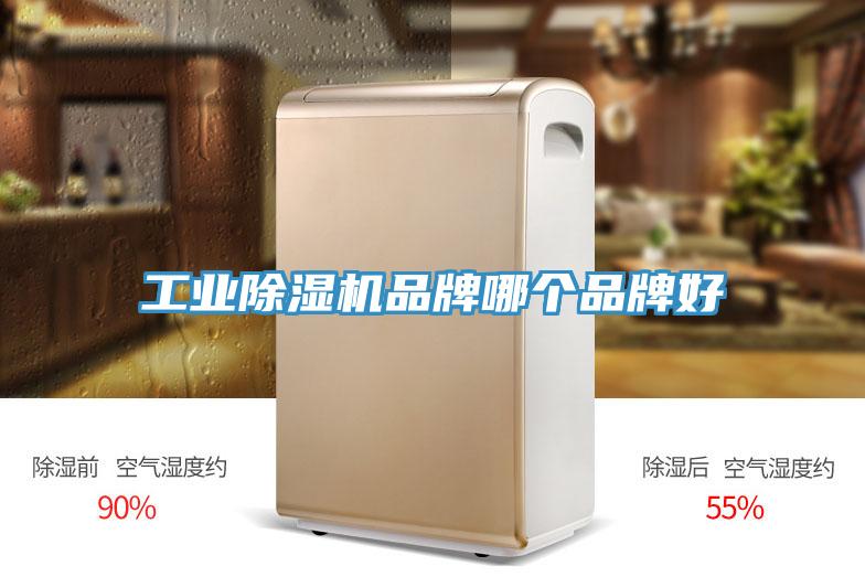 工業除濕機品牌哪個品牌好