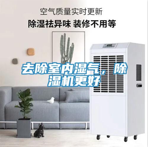 去除室內濕氣，除濕機更好