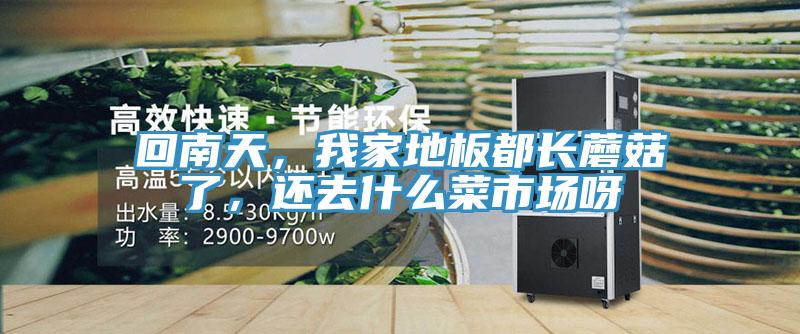 回南天，我家地板都長蘑菇了，還去什么菜市場呀