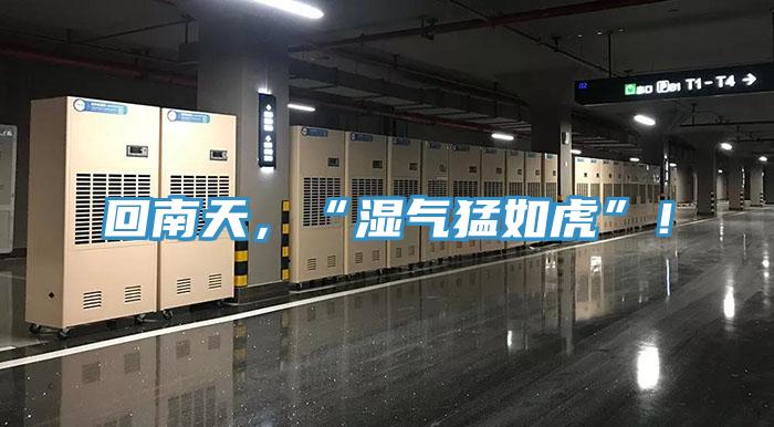 回南天，“濕氣猛如虎”！