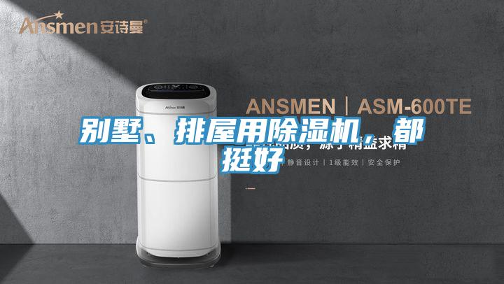 別墅、排屋用除濕機,都挺好