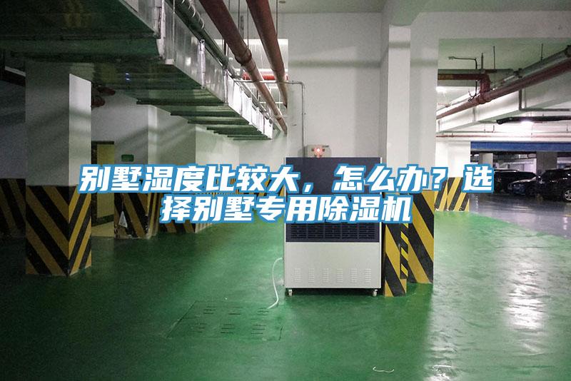 別墅濕度比較大，怎么辦？選擇別墅專用除濕機