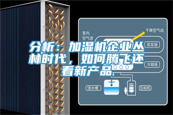 分析:加濕機企業叢林時代,如何騰飛還看新產品