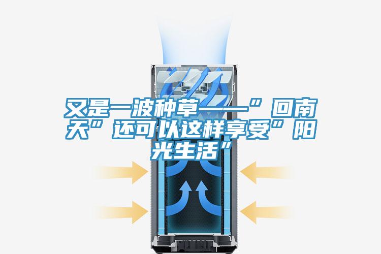 又是一波種草——”回南天”還可以這樣享受”陽光生活”