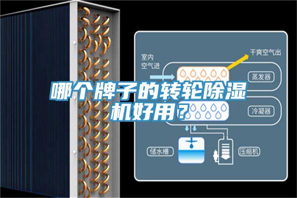 哪個牌子的轉輪除濕機好用？