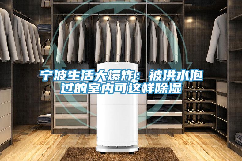 寧波生活大爆炸:被洪水泡過的室內(nèi)可這樣除濕