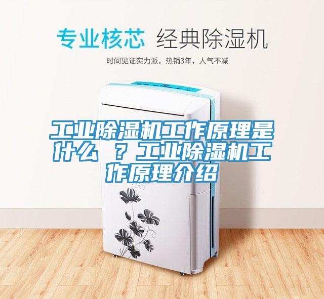 工業(yè)除濕機工作原理是什么 ?工業(yè)除濕機工作原理介紹